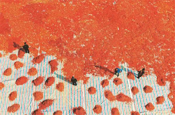 W020251030232508048452.jpg W020251030232508048452.jpg