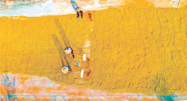 W020251030232517931144.jpg W020251030232517931144.jpg