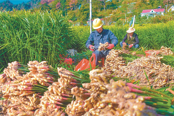 W020251113236674220314.jpg W020251113236674220314.jpg