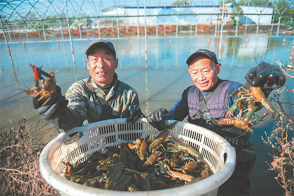 W020251113236676194261.jpg W020251113236676194261.jpg