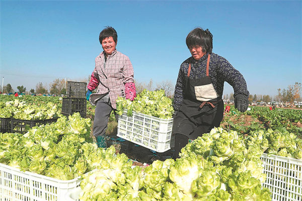 W020251113236677351431.jpg W020251113236677351431.jpg